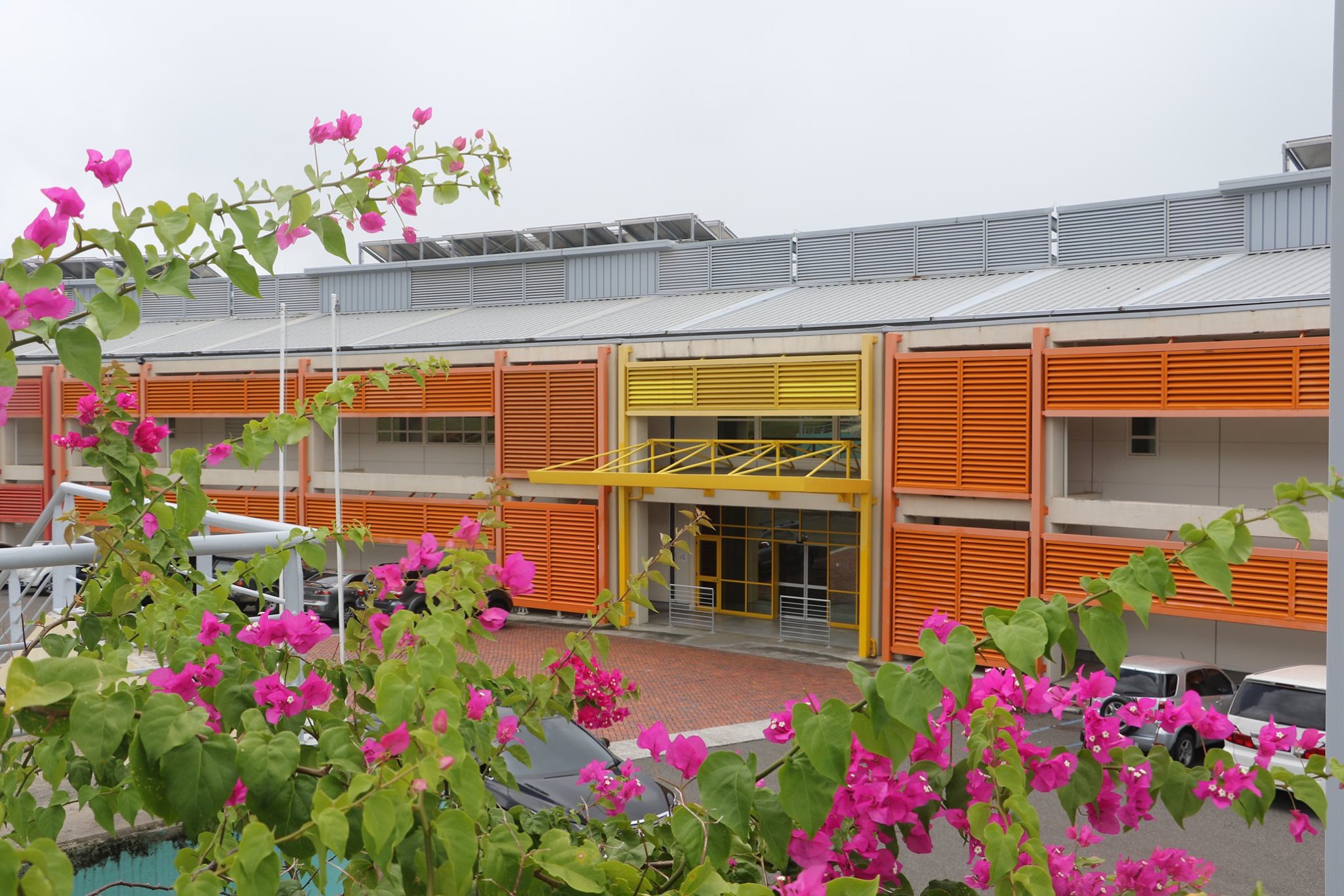 Reflecting on Saint Lucia’s Healthcare Milestone: 4 Years Since the ...